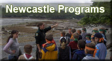 newcastle button copy copy