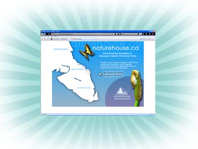 New Website Layout
